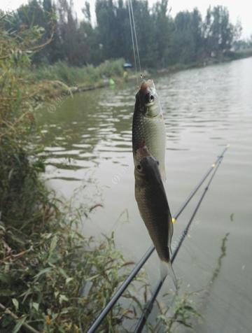 微信账单怎么设置删除时必须人脸？微信删除账单人脸识别关闭方法