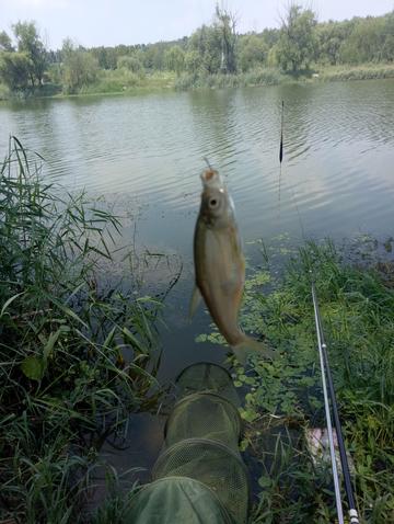 哈尔滨亚布力滑雪场现在开放了吗？