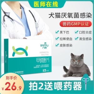猫狗可以和平共处吗？以下十种狗，可能会成为猫猫的好朋友 猫和狗能和平相处家里风水禁忌