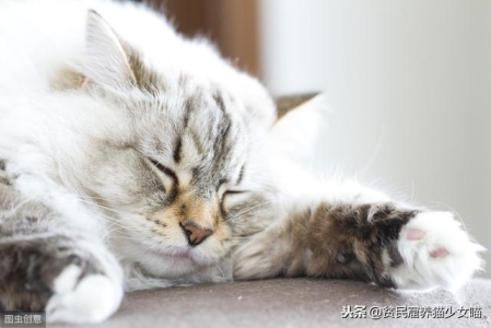 双控开关的连接双控开关