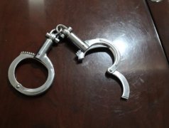 11·12河南平舆特大系列杀人案纪实