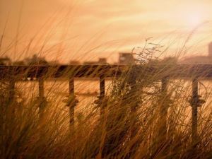 女人消失了意味着什么