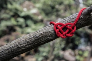 一般分居多长时间感情会淡夫妻分开不要超过多长时间