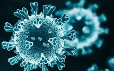 夜晚睡觉忽冷忽热出虚汗怎么回事