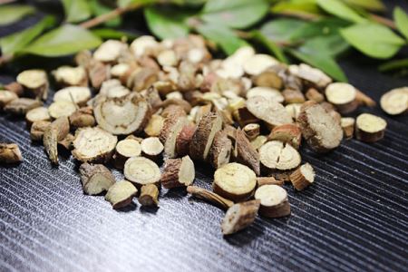 狗狗肠胃炎原因与症状：了解关键信息，制定