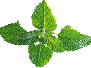 男性前列腺增生需要动手术吗？