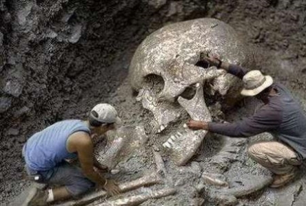 转世灵童有科学依据