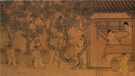 属虎相冲的属相是什么