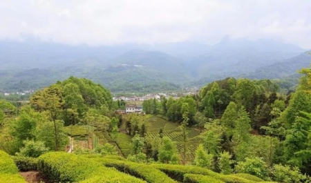 北京最热景点排名榜前十哪个最值得一去