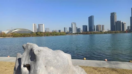 家里有属鸡
