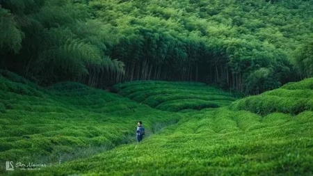 五一象牙山旅游景点在哪里，象牙山旅游区在哪