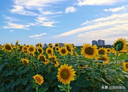 北京人气超高的三大美食街