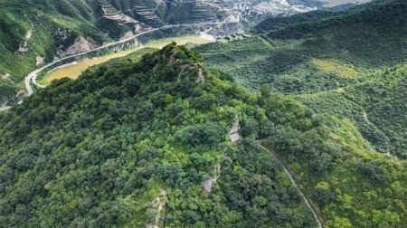 五一深度探索兰州美食的独特魅力：一场味觉盛宴的旅行攻略分享