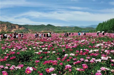 国庆广东小众旅游景点后悔没早点知道