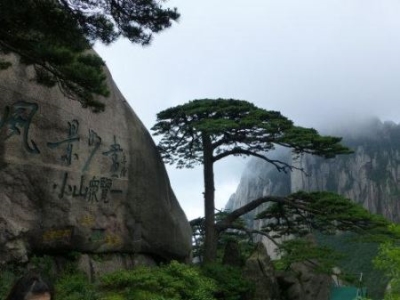 十二生肖属猪人的事业、财运、感情、健康四大运势分析,单身的猪猪们情缘依然是镜花水月