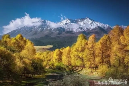 前列腺炎有什么症状