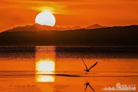 武汉十大一日游最佳路线，一天让你看完武汉最靓的景！？