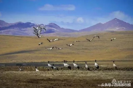 句容什么时候能和南京合并？