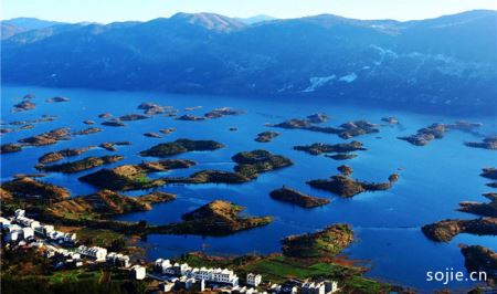 上海特产有哪些可以带走的上海特产什么适合送人探索解读