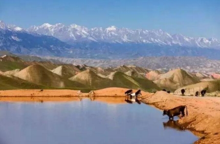 澳门自由行必须去的三个地方澳门旅游九个必打卡机位及攻略