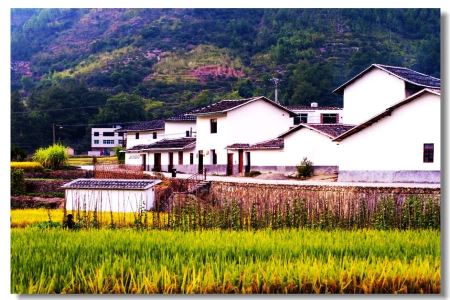 十二生肖中属猴人的流年事业、财运、感情、健康四大运势及运程