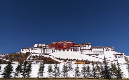 生肖事业、财运、感情、健康四大运势：属马人生肖事业、财运、感情、健康四大运势
