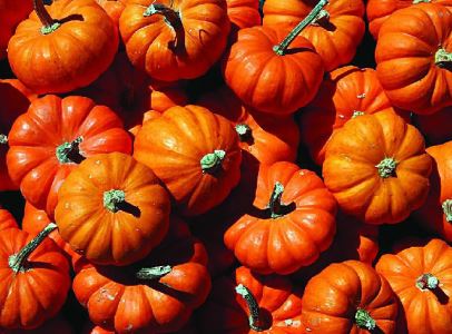 红枣桂圆姜茶的做法?