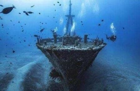 10个比噩梦还要噩梦的深海生物 证明海里的动物才是最恐怖的