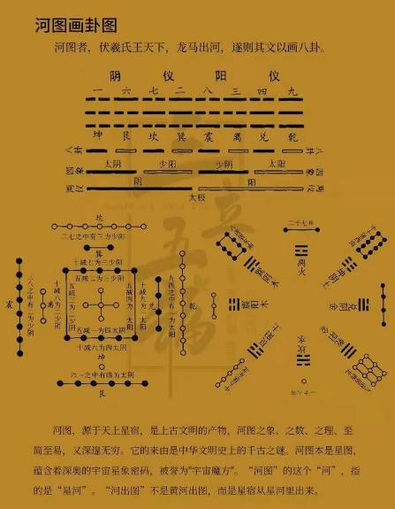 奇闻！493吨价值170万冷库大蒜被别人拉走卖光，冷库说自己没责任 
