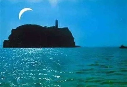 太平洋巨人章鱼,太平洋巨型章鱼长什么样子？