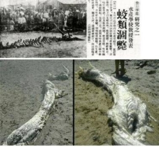 智利复活岛巨人石像之谜，重达82吨石像如何修筑
