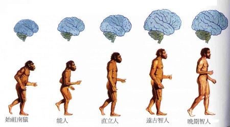 举世闻名的传国玉玺，正面刻的8个字很霸气，历经千年如今何在？