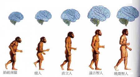 海底的金字塔之谜海底世界中的金字塔修筑者究竟是哪位？