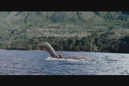 湖光岩水怪是什么动物？很可能是体型巨大的淡水鱼