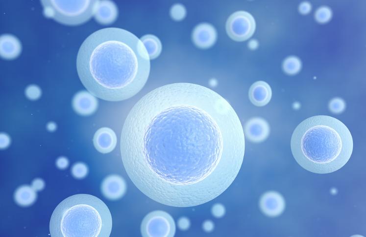 人有三魂七魄,它们在生命终结时究竟如何离开身体?