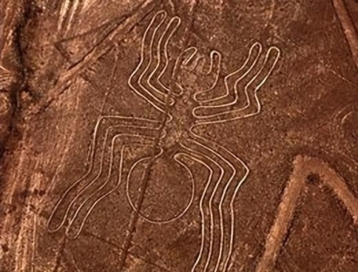  世界上最大的熊，科迪亚克岛棕熊体长3米/重1300斤