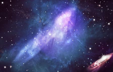 12星座守护花？什么花是天蝎座的守护花？