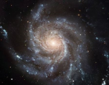 天蝎上升星座是什么？如何查自己的上升星座？