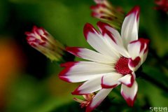 端午节为什么诸事不宜？