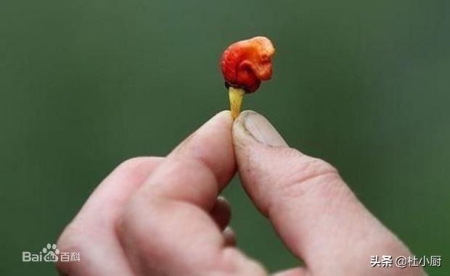 冬至将至！你知道冬至为什么要吃饺子吗？
