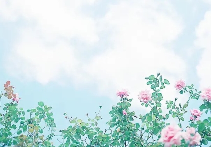 千年传统说没就没，日本为什么废除了农历和春节？