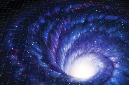 自然界最强“绿帽王”？它可以偷偷完成交配？雌性竟无法察觉？