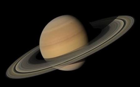 狗和猴子因其特性不适合在宇宙中进行的新实验