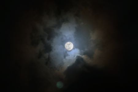 阿波罗登月是假的？推特发文质疑？月球车行