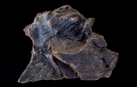 什么是费米悖论？