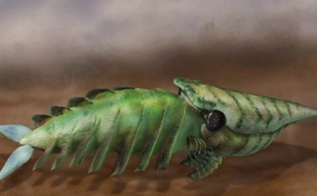 在历史上最强恐龙排行榜前十，第一位很大的霸王龙占领江山？...？