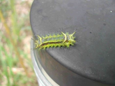 中国有哪些奇观