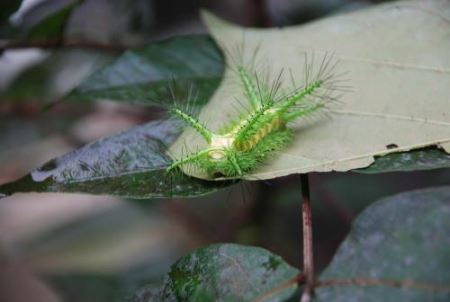 中国最大的湖泊青海湖，面积4435.69平方公里大可敌国