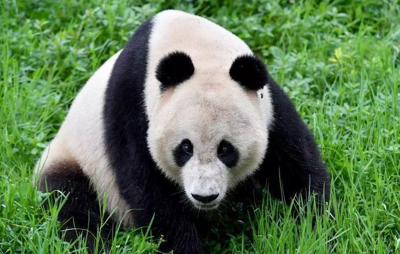 始新世极热时期热带上层海洋氧气含量上升