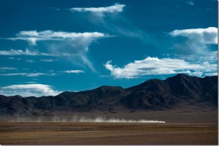 陆龟可以吃肉动物蛋白吗?陆龟可以吃什么东西